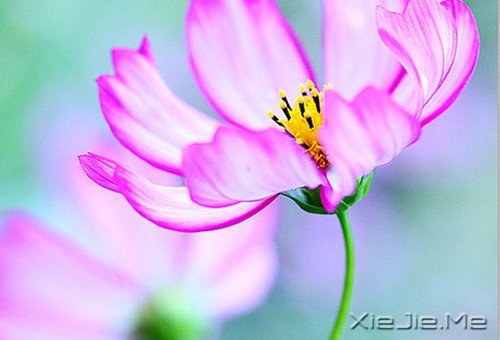 晚安心语：心复杂，世界就是迷宫 (1)