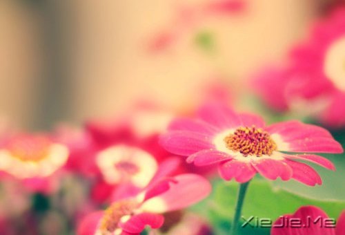 晚安心语：心复杂，世界就是迷宫 (10)